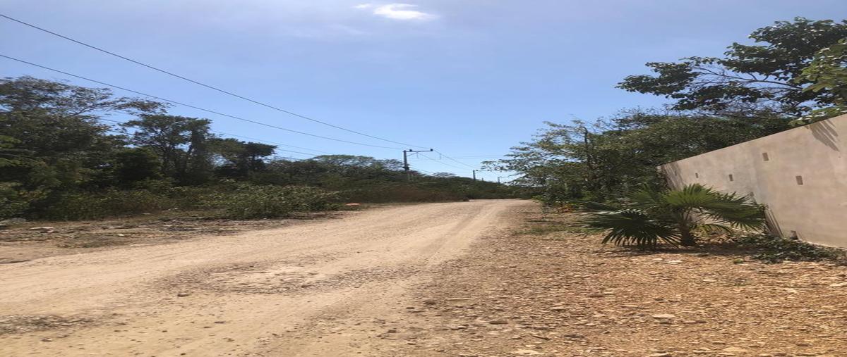 Foto de terreno habitacional en venta en  , aldea tulum, tulum, quintana roo, 28905205 No. 05