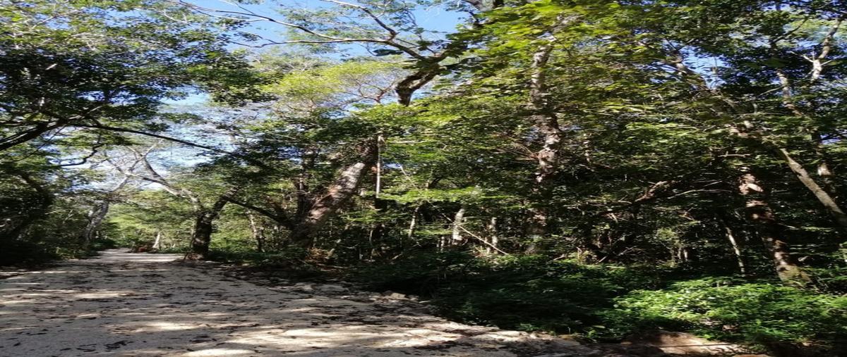 Foto de terreno habitacional en venta en  , aldea tulum, tulum, quintana roo, 28905210 No. 04