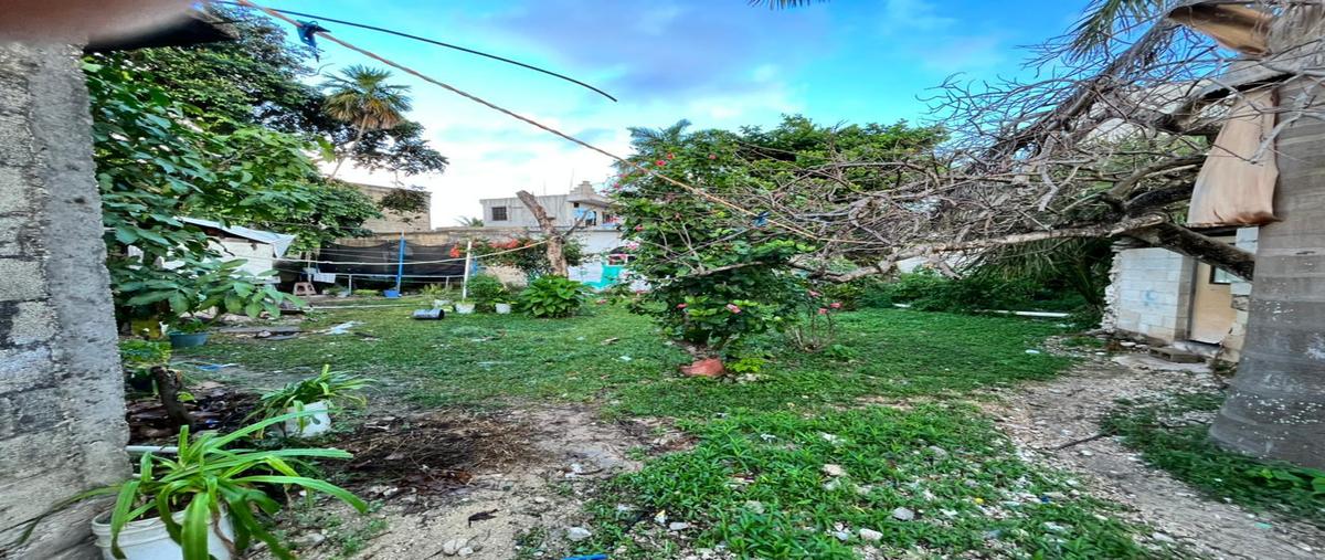 Foto de terreno habitacional en venta en  , aldea tulum, tulum, quintana roo, 28905216 No. 05