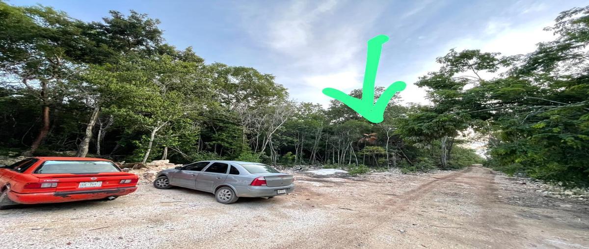 Foto de terreno habitacional en venta en  , aldea tulum, tulum, quintana roo, 28905257 No. 04