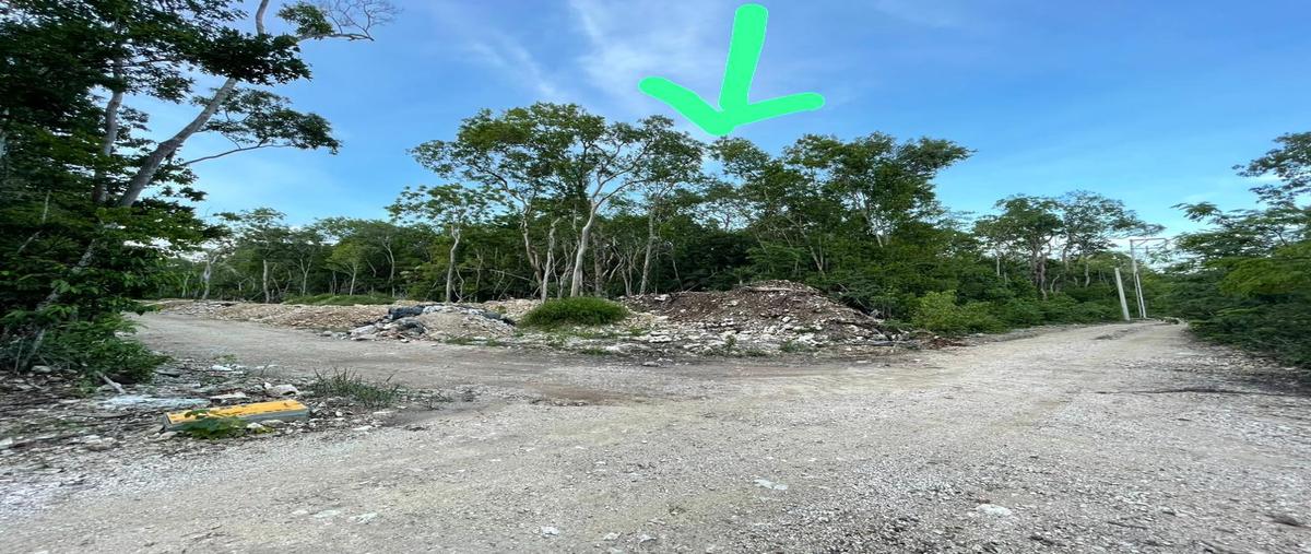 Foto de terreno habitacional en venta en  , aldea tulum, tulum, quintana roo, 28905257 No. 05