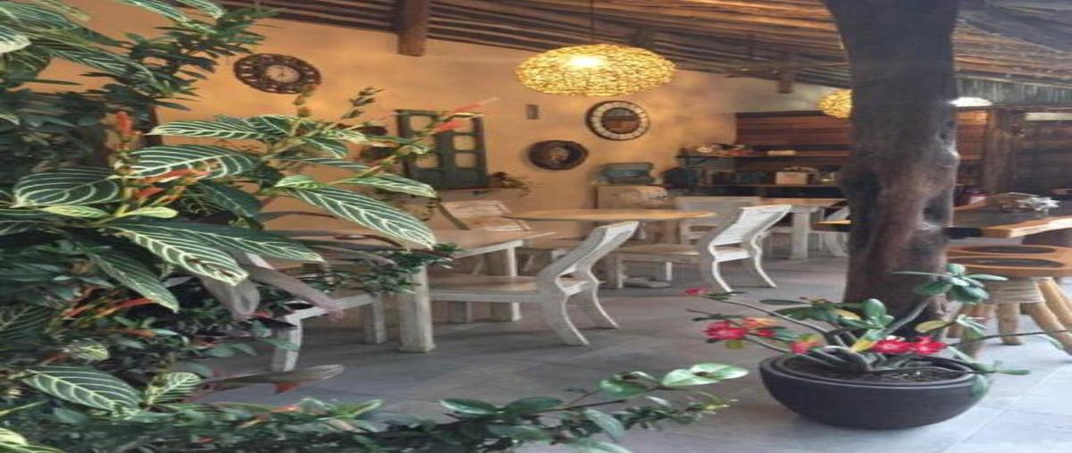 Foto de local en , aldea tulum, tulum, quintana roo, 28905261 foto 02 Foto de local en venta en , aldea tulum, tulum, quintana roo, 28905261 No. 02