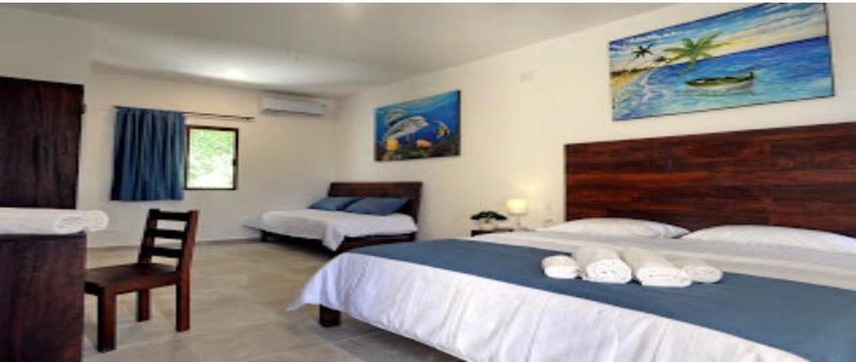 Foto de local en , aldea tulum, tulum, quintana roo, 28905261 foto 05 Foto de local en venta en , aldea tulum, tulum, quintana roo, 28905261 No. 05