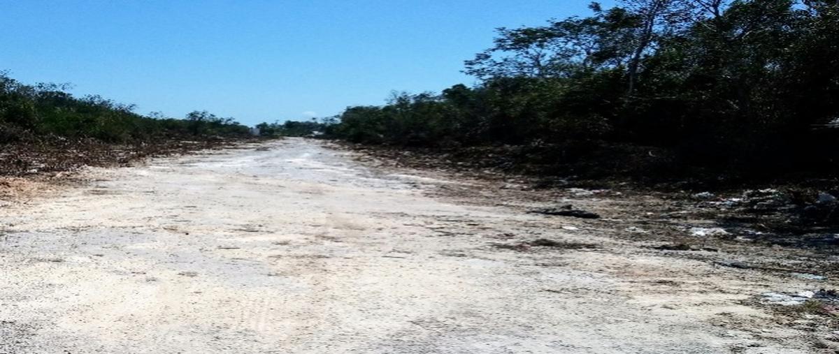 Foto de terreno habitacional en venta en  , aldea tulum, tulum, quintana roo, 28905273 No. 04
