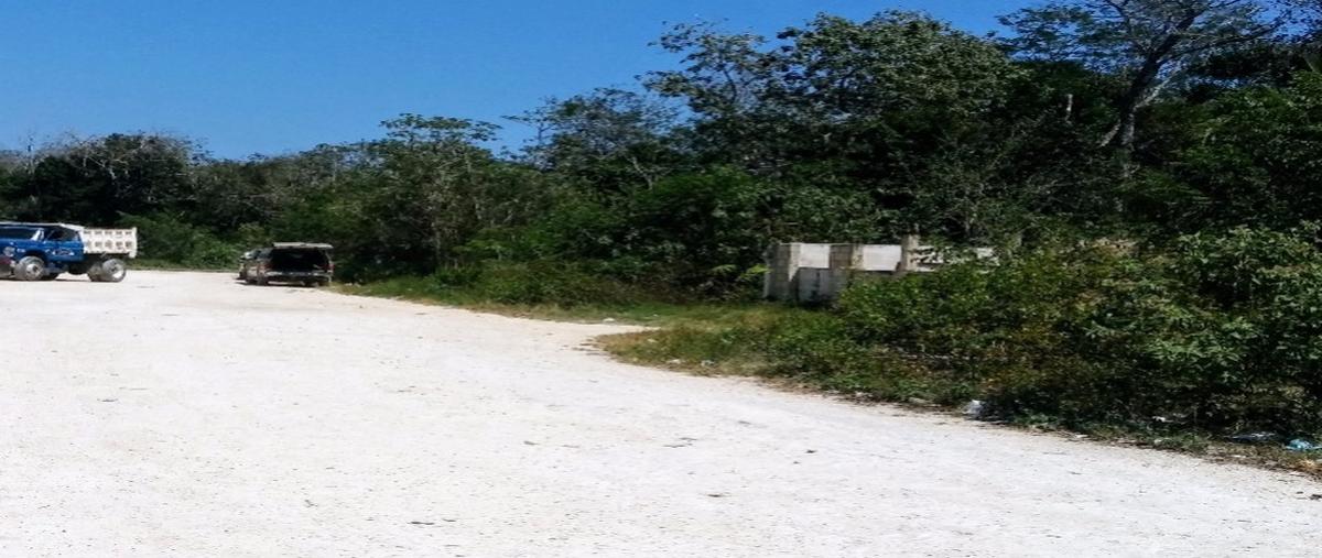 Foto de terreno habitacional en venta en  , aldea tulum, tulum, quintana roo, 28905273 No. 05