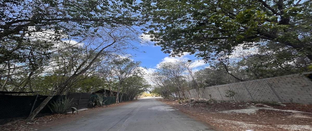 Foto de terreno habitacional en venta en  , aldea tulum, tulum, quintana roo, 28905296 No. 03