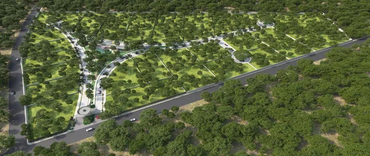 Foto de terreno habitacional en , aldea tulum, tulum, quintana roo, 28905305 foto 02 Foto de terreno habitacional en venta en , aldea tulum, tulum, quintana roo, 28905305 No. 02