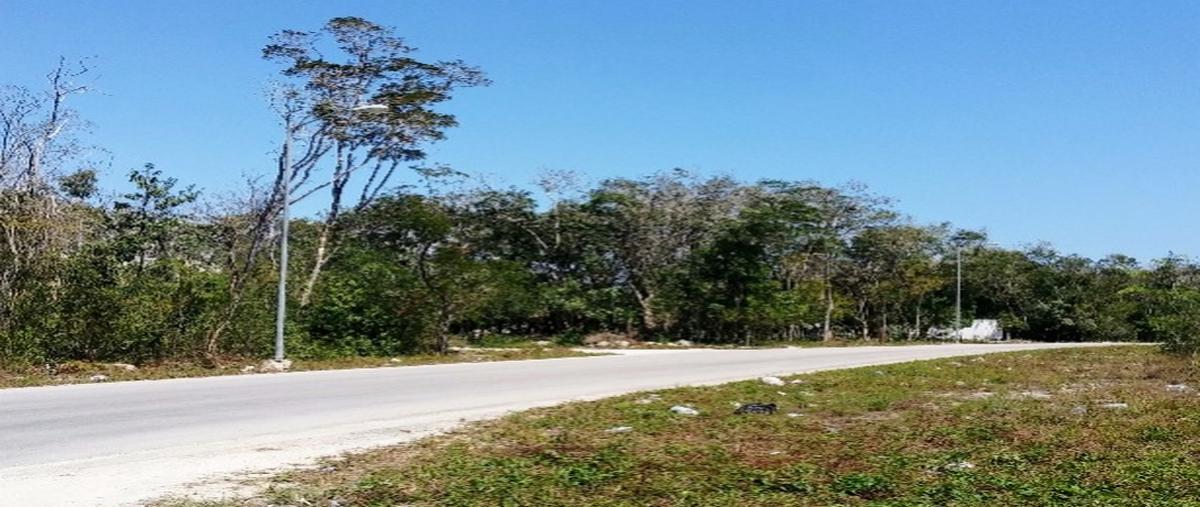 Foto de terreno habitacional en venta en  , aldea tulum, tulum, quintana roo, 28905326 No. 03