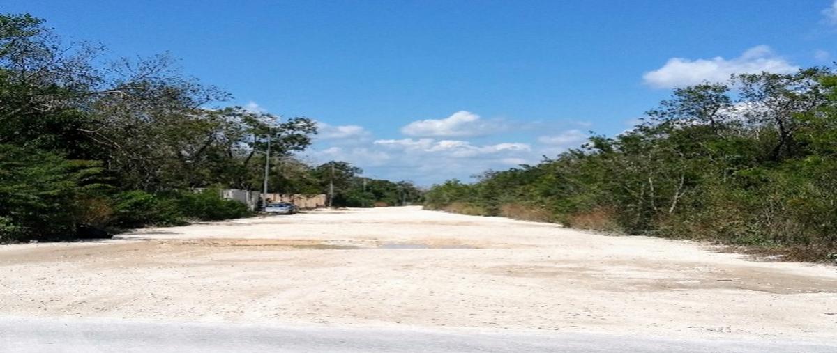 Foto de terreno habitacional en venta en  , aldea tulum, tulum, quintana roo, 28905326 No. 04