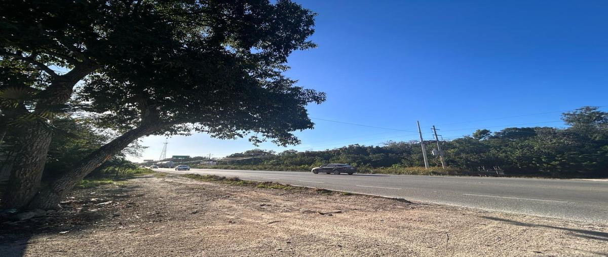 Foto de terreno habitacional en venta en  , aldea tulum, tulum, quintana roo, 28905335 No. 04