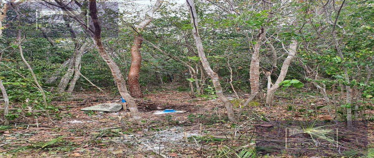 Foto de terreno habitacional en venta en  , aldea tulum, tulum, quintana roo, 28979670 No. 03