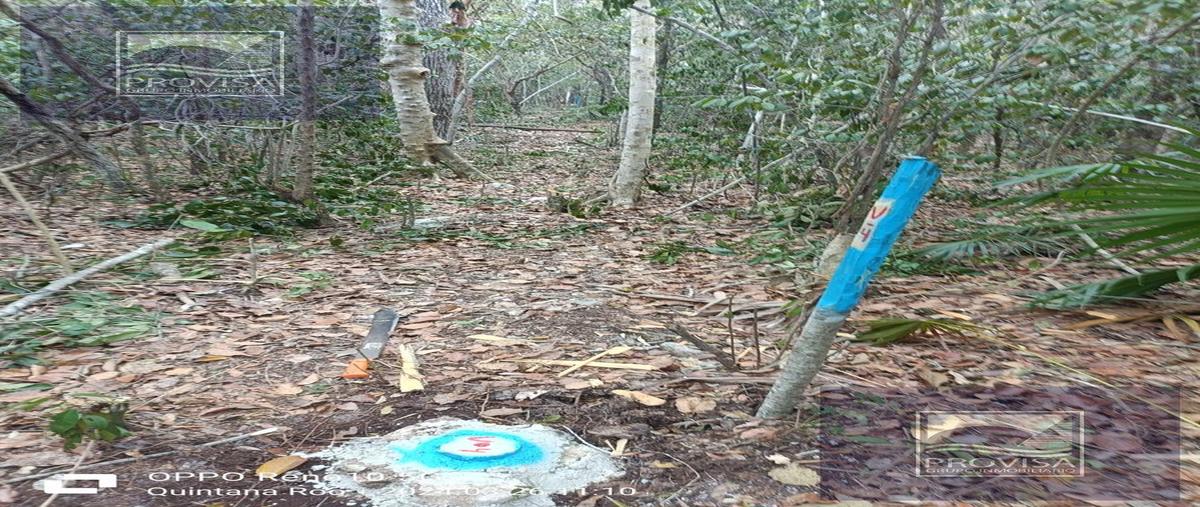 Foto de terreno habitacional en venta en  , aldea tulum, tulum, quintana roo, 28979670 No. 04
