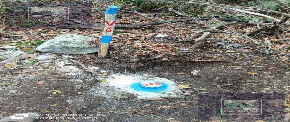 Foto de terreno habitacional en venta en  , aldea tulum, tulum, quintana roo, 28979670 No. 05