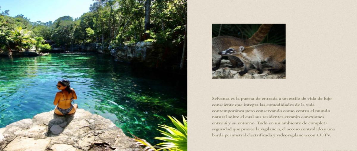 Foto de terreno habitacional en venta en  , aldea tulum, tulum, quintana roo, 29297868 No. 04