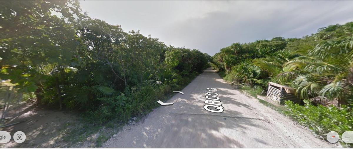 Foto de terreno habitacional en , aldea tulum, tulum, quintana roo, 29308341 foto 04 Foto de terreno habitacional en venta en , aldea tulum, tulum, quintana roo, 29308341 No. 04