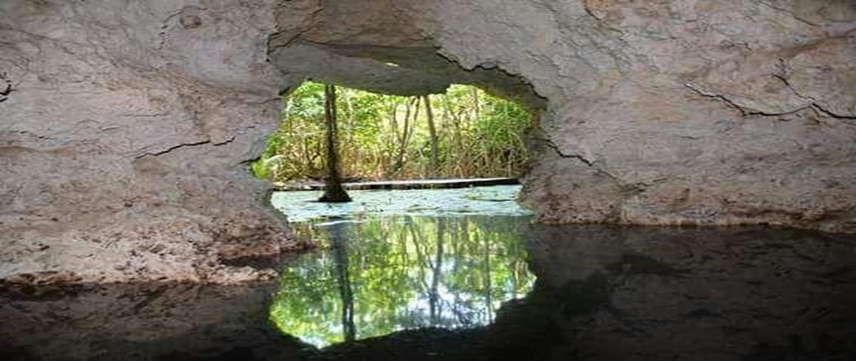 Foto de terreno habitacional en venta en  , aldea tulum, tulum, quintana roo, 29337501 No. 04