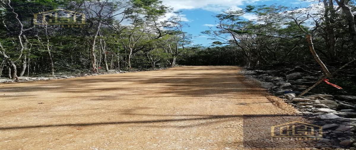 Foto de terreno habitacional en , aldea tulum, tulum, quintana roo, 29436886 foto 04 Foto de terreno habitacional en venta en , aldea tulum, tulum, quintana roo, 29436886 No. 04