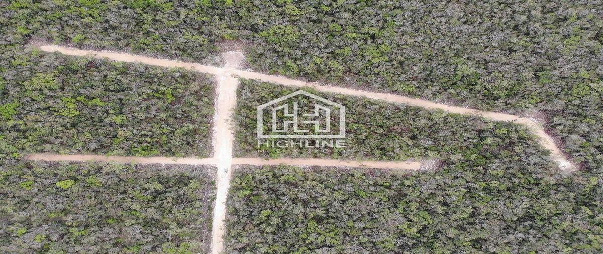 Foto de terreno habitacional en venta en  , aldea tulum, tulum, quintana roo, 29436886 No. 05