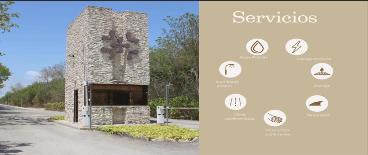 Foto de terreno habitacional en venta en  , aldea tulum, tulum, quintana roo, 29471046 No. 04