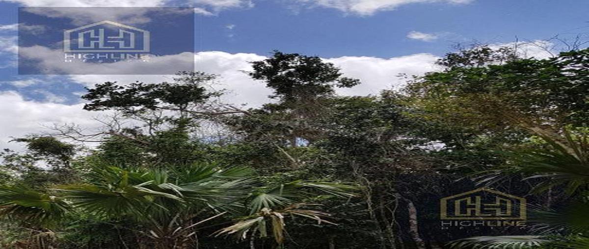 Foto de terreno habitacional en venta en  , aldea tulum, tulum, quintana roo, 29494683 No. 08