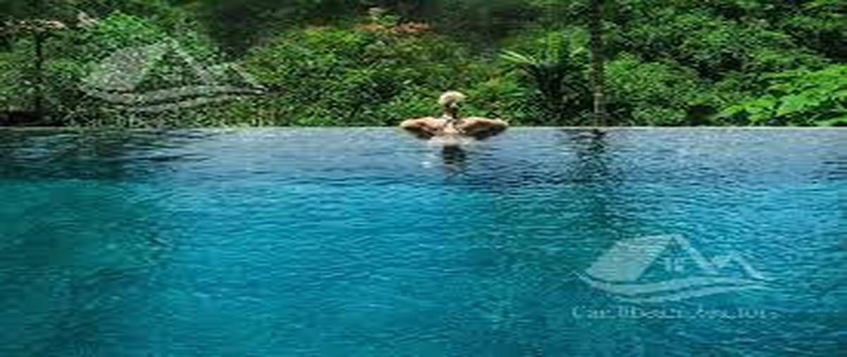 Foto de terreno habitacional en , aldea tulum, tulum, quintana roo, 29534690 foto 05 Foto de terreno habitacional en venta en , aldea tulum, tulum, quintana roo, 29534690 No. 05