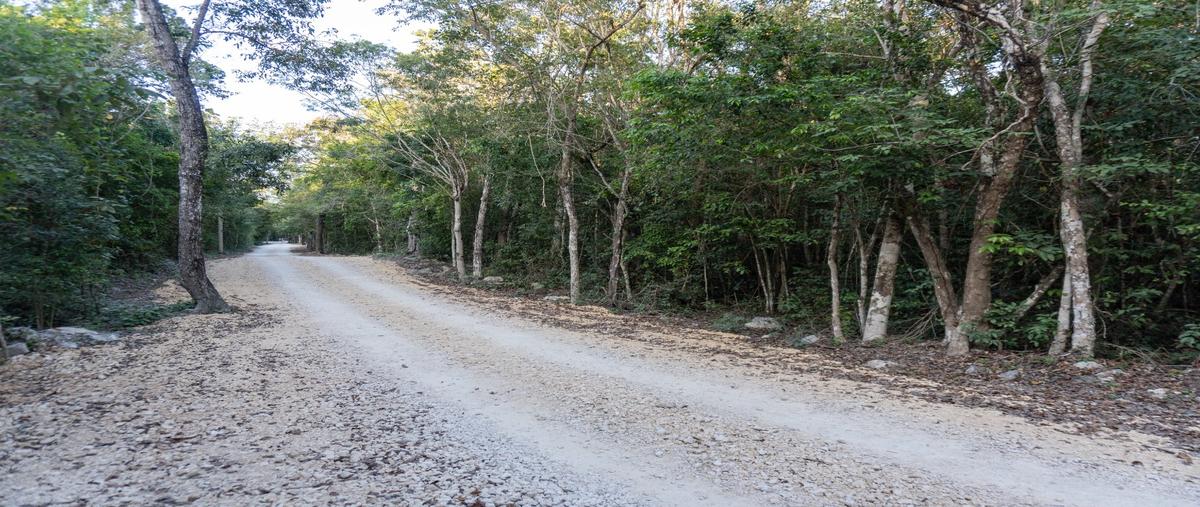 Foto de terreno habitacional en venta en  , aldea tulum, tulum, quintana roo, 29543419 No. 03