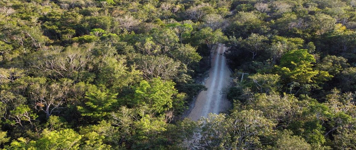 Foto de terreno habitacional en venta en  , aldea tulum, tulum, quintana roo, 29543419 No. 04