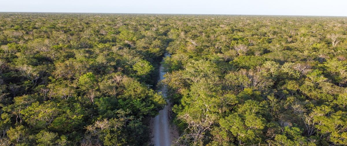 Foto de terreno habitacional en venta en  , aldea tulum, tulum, quintana roo, 29543419 No. 05
