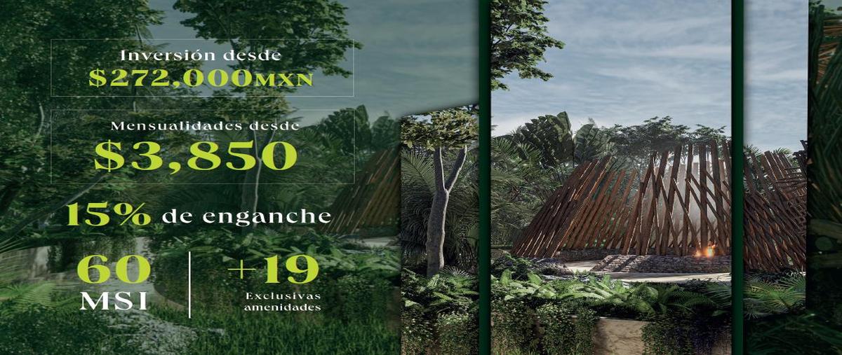 Foto de terreno habitacional en venta en  , aldea tulum, tulum, quintana roo, 0 No. 05