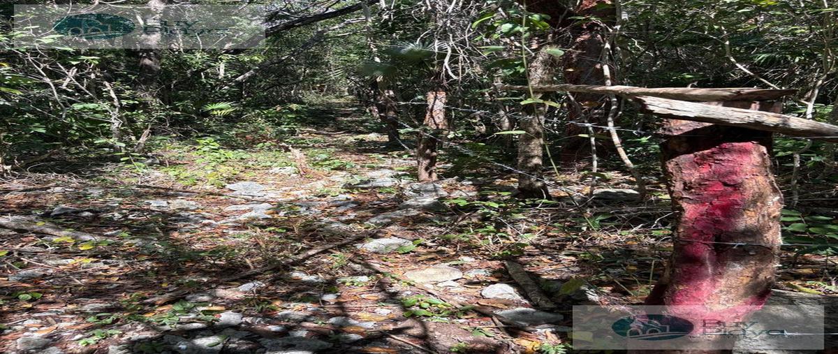 Foto de terreno habitacional en venta en  , aldea tulum, tulum, quintana roo, 29826996 No. 03
