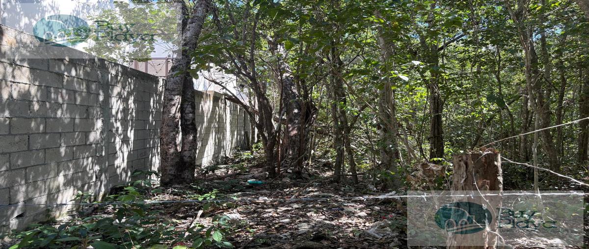 Foto de terreno habitacional en venta en  , aldea tulum, tulum, quintana roo, 29826996 No. 04