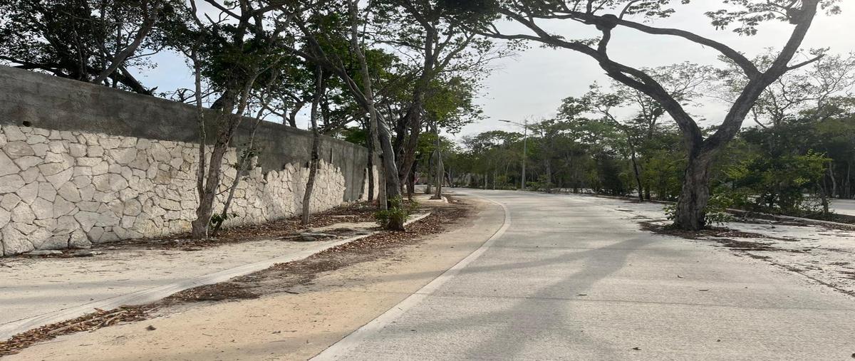 Foto de terreno habitacional en venta en  , aldea tulum, tulum, quintana roo, 0 No. 03
