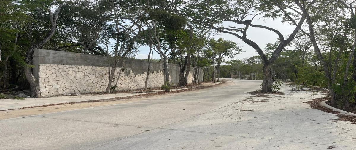 Foto de terreno habitacional en venta en  , aldea tulum, tulum, quintana roo, 0 No. 04