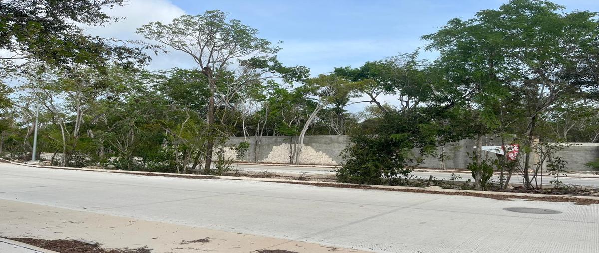 Foto de terreno habitacional en venta en  , aldea tulum, tulum, quintana roo, 0 No. 05