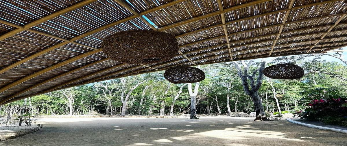 Foto de terreno habitacional en venta en  , aldea tulum, tulum, quintana roo, 0 No. 05