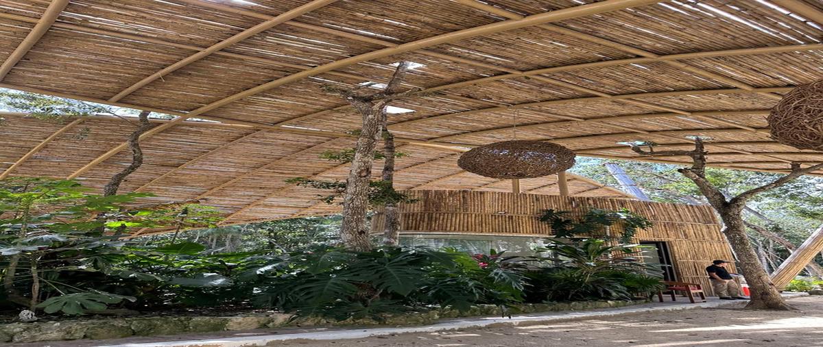 Foto de terreno habitacional en venta en  , aldea tulum, tulum, quintana roo, 30088057 No. 04