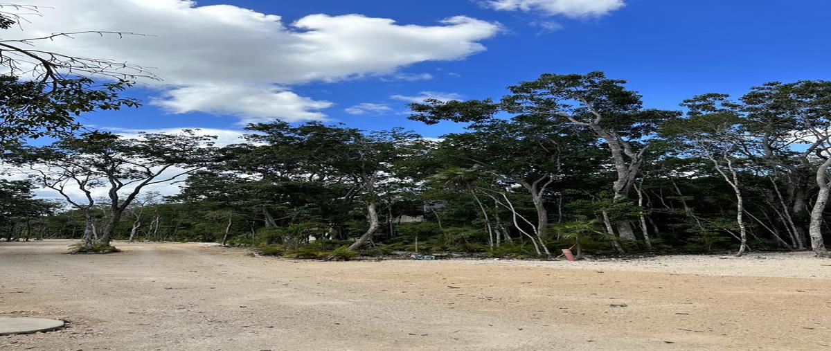 Foto de terreno habitacional en venta en  , aldea tulum, tulum, quintana roo, 30088057 No. 05