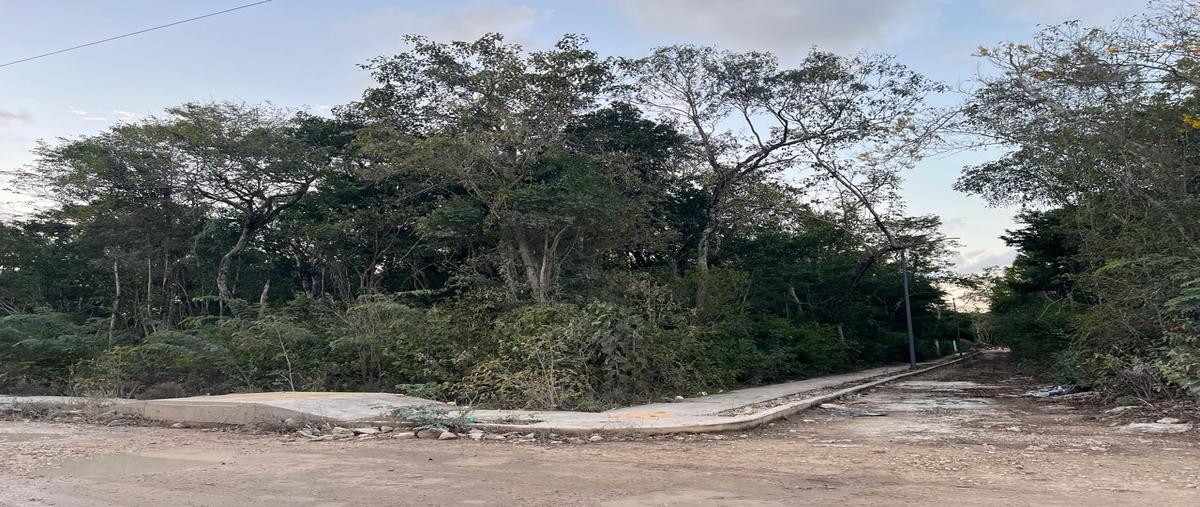 Foto de terreno habitacional en venta en  , aldea tulum, tulum, quintana roo, 0 No. 03