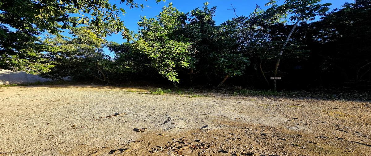 Foto de terreno habitacional en venta en  , aldea tulum, tulum, quintana roo, 30216551 No. 03