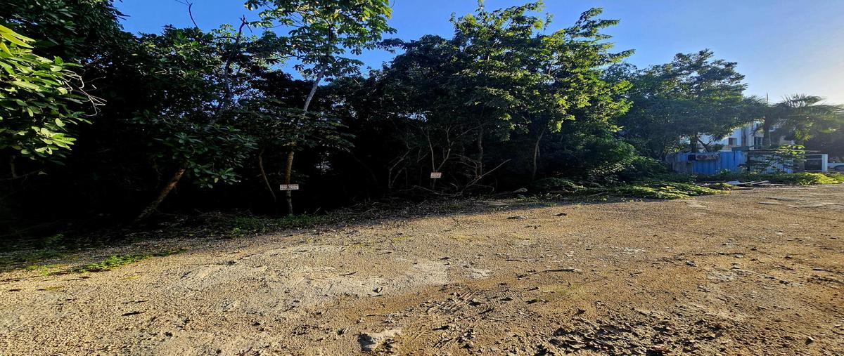 Foto de terreno habitacional en venta en  , aldea tulum, tulum, quintana roo, 30216551 No. 04
