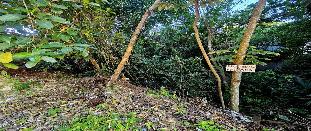 Foto de terreno habitacional en venta en  , aldea tulum, tulum, quintana roo, 30216551 No. 05
