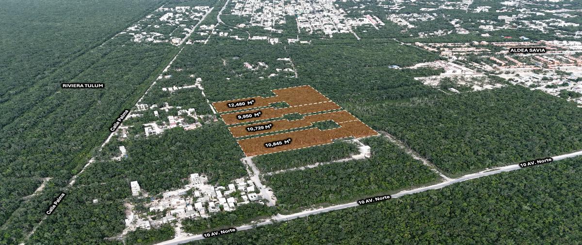 Foto de terreno habitacional en venta en  , aldea tulum, tulum, quintana roo, 30343087 No. 03