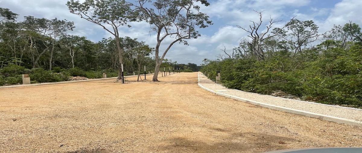 Foto de terreno habitacional en venta en  , aldea tulum, tulum, quintana roo, 0 No. 03