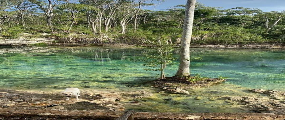 Foto de terreno habitacional en venta en  , aldea tulum, tulum, quintana roo, 0 No. 04