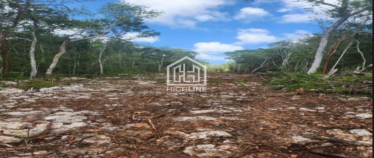 Foto de terreno habitacional en venta en  , aldea tulum, tulum, quintana roo, 30658143 No. 06