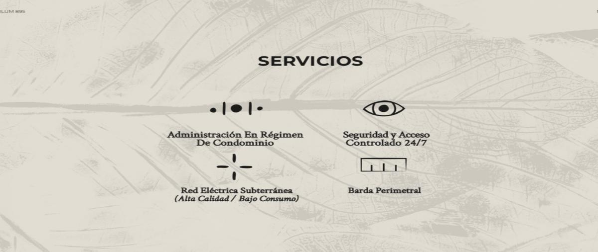 Foto de terreno habitacional en venta en  , aldea tulum, tulum, quintana roo, 0 No. 04