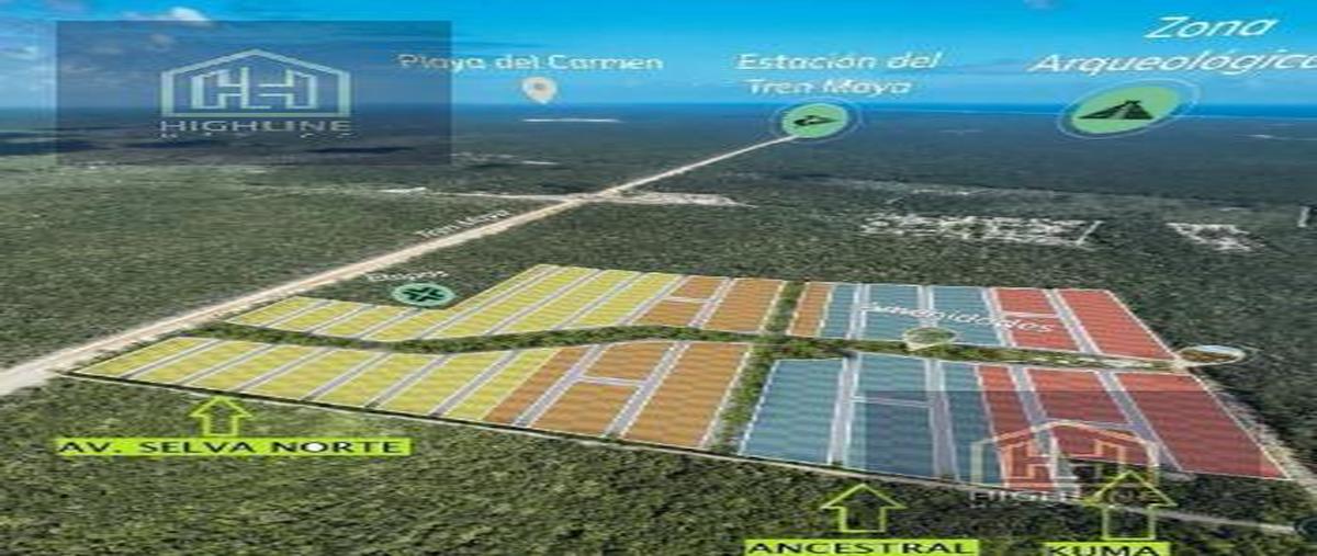 Foto de terreno habitacional en , aldea tulum, tulum, quintana roo, 30714322 foto 02 Foto de terreno habitacional en venta en , aldea tulum, tulum, quintana roo, 30714322 No. 02