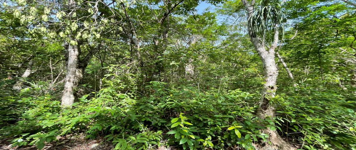 Foto de terreno habitacional en venta en  , aldea tulum, tulum, quintana roo, 0 No. 04