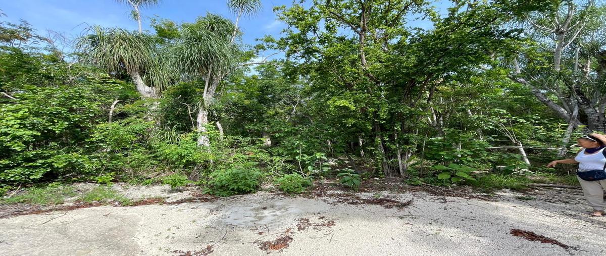 Foto de terreno habitacional en venta en  , aldea tulum, tulum, quintana roo, 0 No. 05