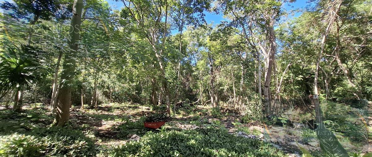 Foto de terreno habitacional en venta en  , aldea tulum, tulum, quintana roo, 30775843 No. 04